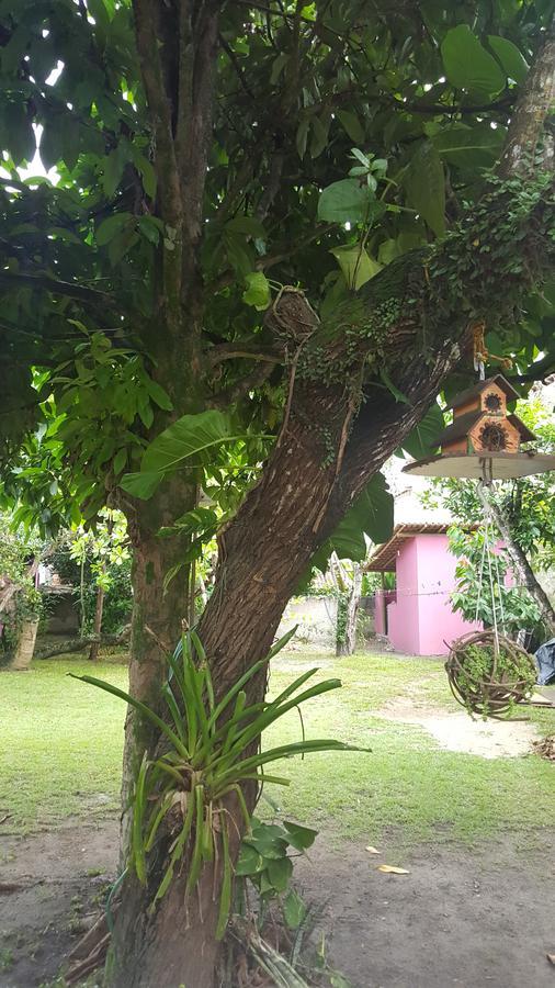 Pousada Grafite Trancoso Exteriér fotografie